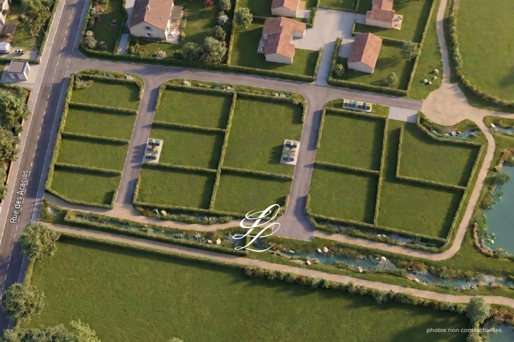 Canopée