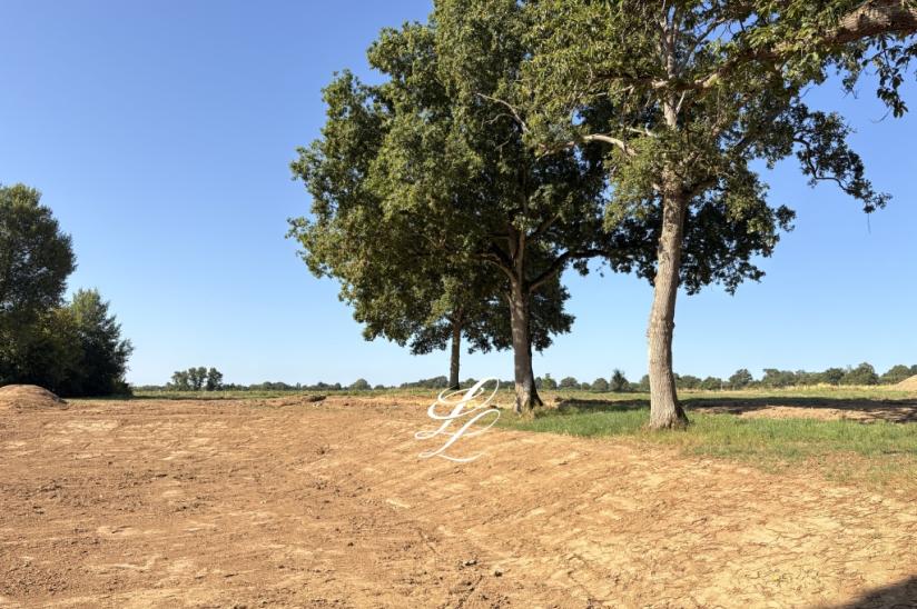 Réf. PARBORIA - Arboria