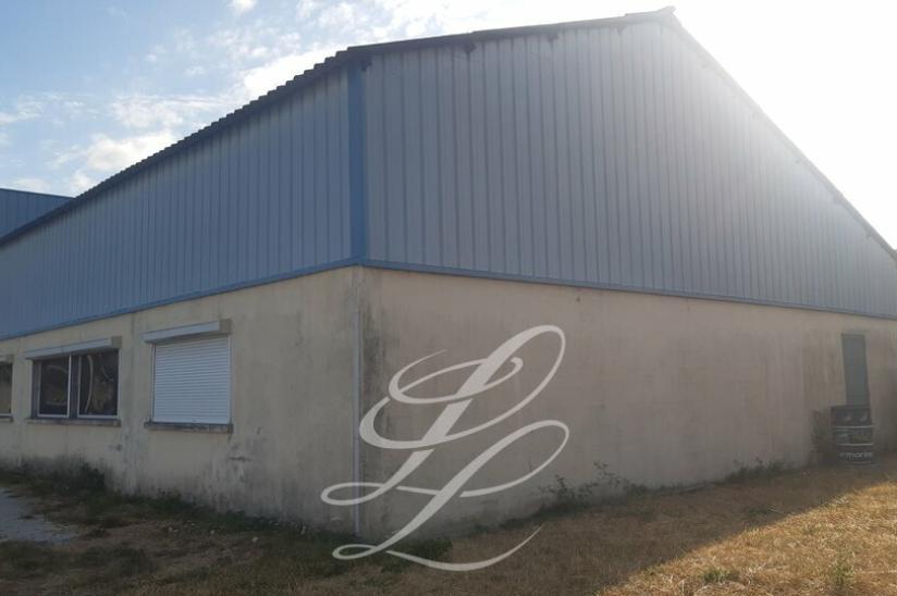 Réf. 37.001644 - Location - LOCAL D'ACTIVITE 250 m<sup>2</sup>